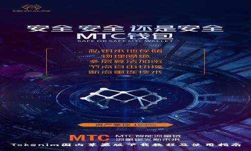 Tokenim国内苹果版下载教程及使用指南