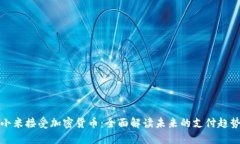 小米接受加密货币：全面解读未来的支付趋势