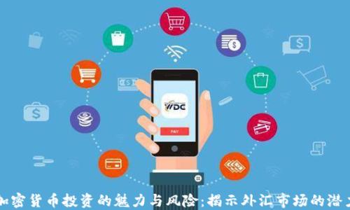 
加密货币投资的魅力与风险：揭示外汇市场的潜力