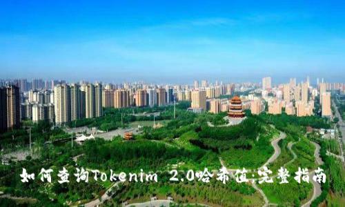 如何查询Tokenim 2.0哈希值：完整指南