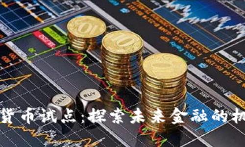 沙特加密货币试点：探索未来金融的机遇与挑战