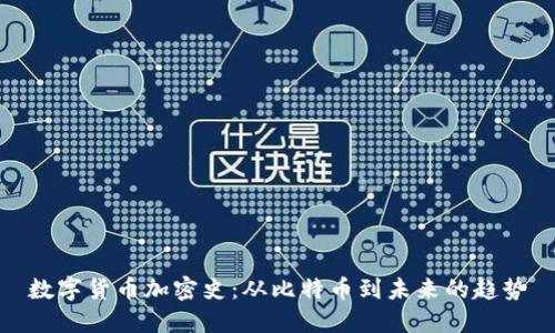 数字货币加密史：从比特币到未来的趋势