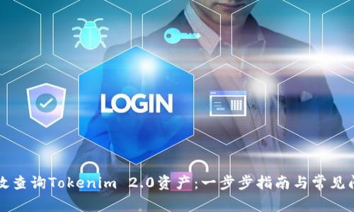如何高效查询Tokenim 2.0资产：一步步指南与常见问题解析
