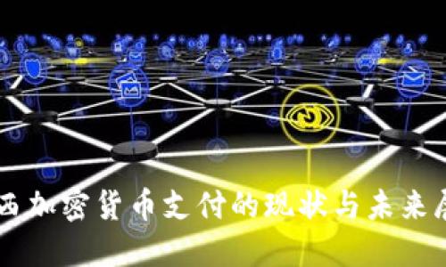 巴西加密货币支付的现状与未来展望