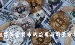 数字加密货币的应用与前景分析