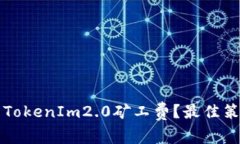 如何设置TokenIm2.0矿工费?最佳策略与分析