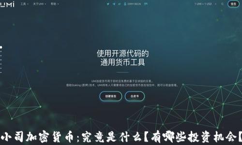 
小司加密货币：究竟是什么？有哪些投资机会？