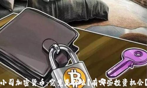 
小司加密货币：究竟是什么？有哪些投资机会？