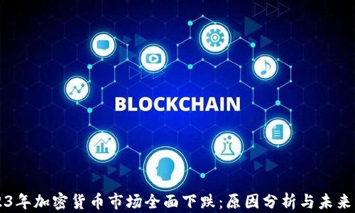 
2023年加密货币市场全面下跌：原因分析与未来展望