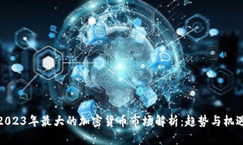 2023年最大的加密货币市场解析：趋势与机遇
