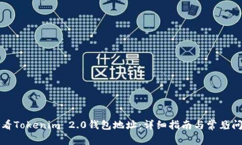 如何查看Tokenim 2.0钱包地址：详细指南与常见问题解答