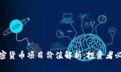 加密货币项目价值解析：投资者必读