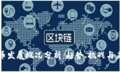 加密货币发展概况分析：趋势、挑战与未来展望