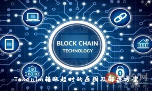 Tokenim转账超时的原因及解决方案