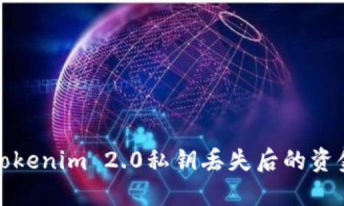 如何找回Tokenim 2.0私钥丢失后的资金安全方案