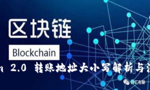 Tokenim 2.0 转账地址大小写解析与注意事项
