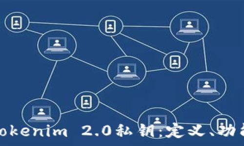  
深入解析Tokenim 2.0私钥：定义、功能与安全性