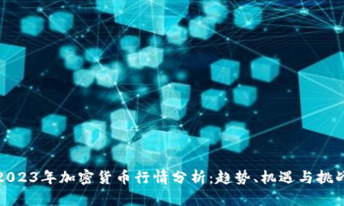 2023年加密货币行情分析：趋势、机遇与挑战