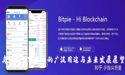 乌克兰加密货币的广泛用途与未来发展展望