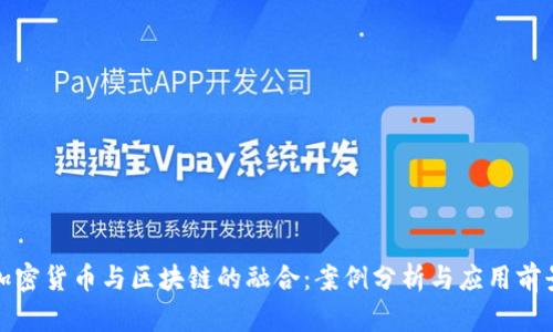 加密货币与区块链的融合：案例分析与应用前景