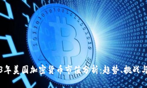 2023年美国加密货币市值分析：趋势、挑战与展望
