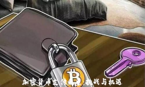 
加密货币支付乱象：挑战与机遇