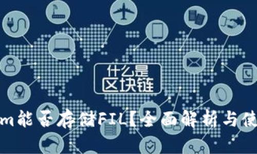 Tokenim能否存储FIL？全面解析与使用指南