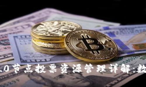 TokenIM 2.0节点投票资源管理详解：数字资产治理