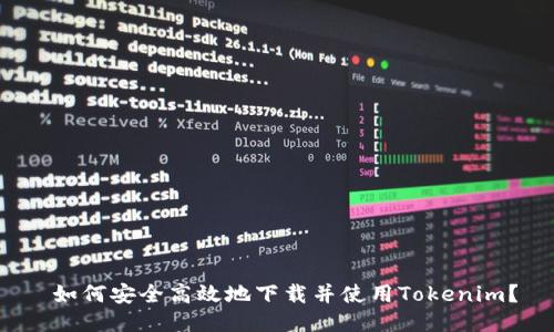  如何安全高效地下载并使用Tokenim？