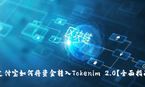 支付宝如何将资金转入Tokenim 2.0？全面指南