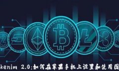 Tokenim 2.0：如何在苹果手机上设置和使用图标
