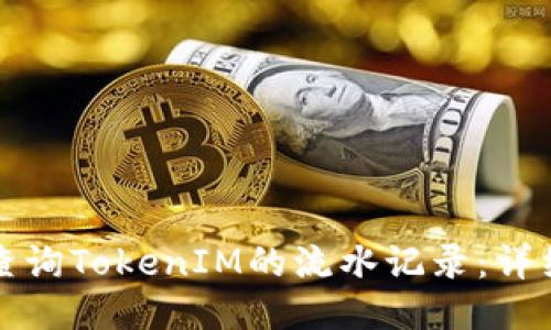 如何查询TokenIM的流水记录：详细指南