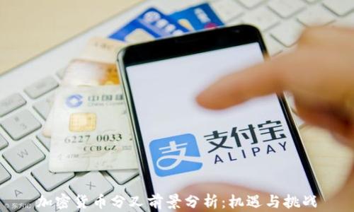 
加密货币分叉前景分析：机遇与挑战