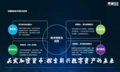 头发加密货币：探索新兴数字资产的未来