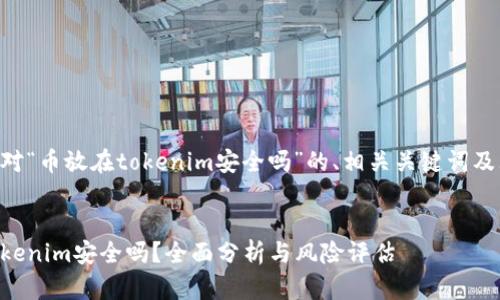 以下是针对“币放在tokenim安全吗”的、相关关键词及大纲设计：


币放在Tokenim安全吗？全面分析与风险评估