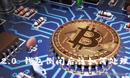 Tokenim 2.0 钱包倒闭后该如何处理？全面指南