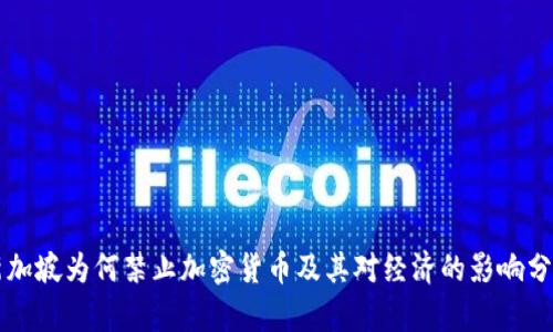 新加坡为何禁止加密货币及其对经济的影响分析