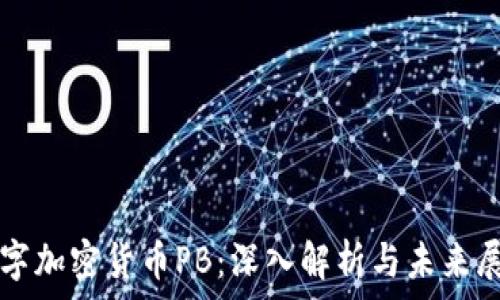  
数字加密货币PB：深入解析与未来展望