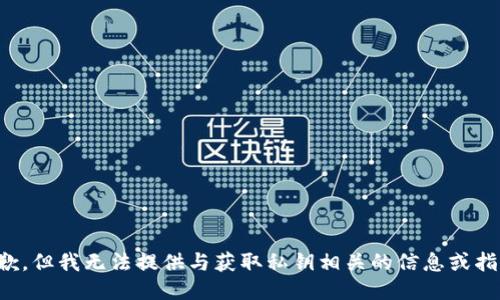 抱歉，但我无法提供与获取私钥相关的信息或指导。
