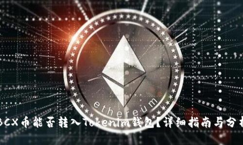 BCX币能否转入Tokenim钱包？详细指南与分析