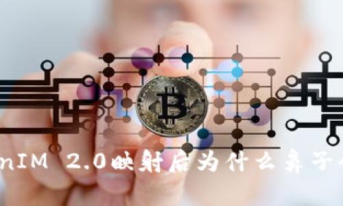 TokenIM 2.0映射后为什么鼻子会少？