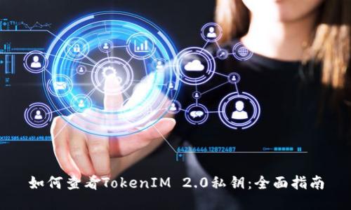 如何查看TokenIM 2.0私钥：全面指南