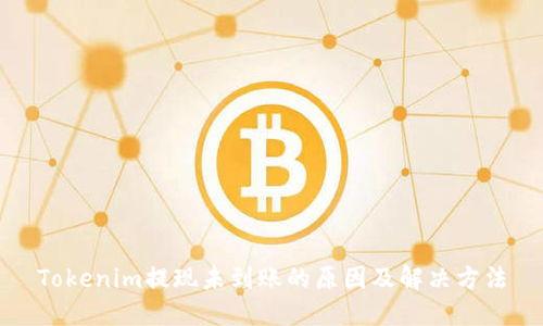 Tokenim提现未到账的原因及解决方法