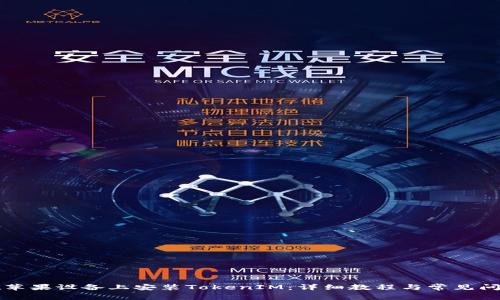 如何在苹果设备上安装TokenIM：详细教程与常见问题解析