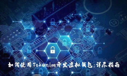如何使用Tokenim开发虚拟钱包：详尽指南