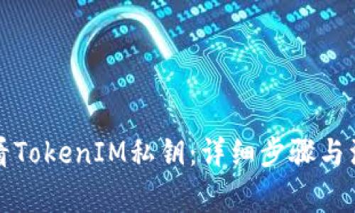 如何查看TokenIM私钥：详细步骤与注意事项
