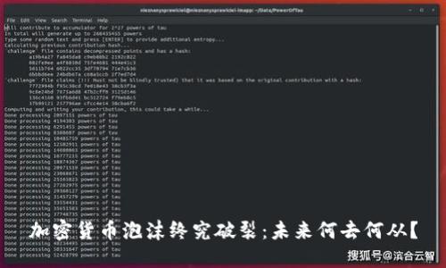加密货币泡沫终究破裂：未来何去何从？