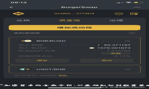 **加密货币的全面介绍：从基础知识到投资策略
