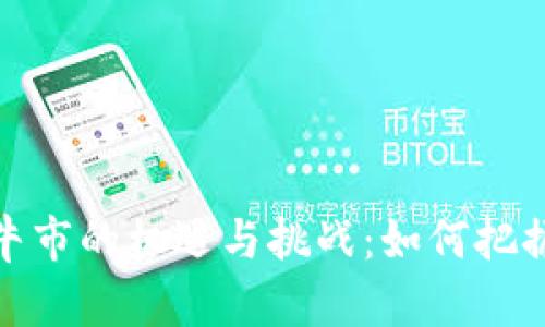 加密货币牛市的机遇与挑战：如何把握投资良机