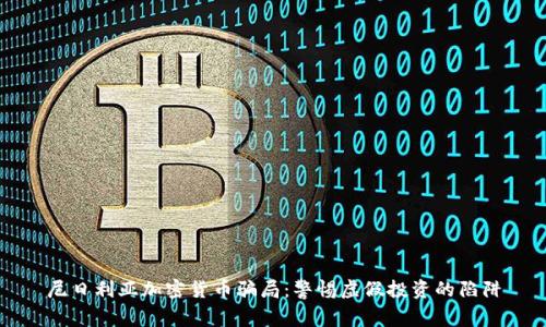尼日利亚加密货币骗局：警惕虚假投资的陷阱